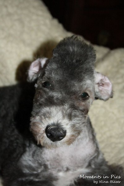 Antares 2009-08-01 & 02 (12).JPG